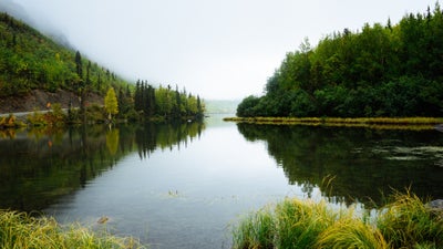 MaxWell Polaris (Pigeon Lake)